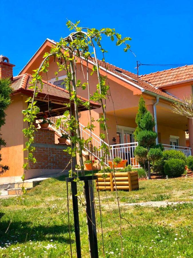 Villa Etno Selo Milanovic - Nonac Kursumlija Exterior foto